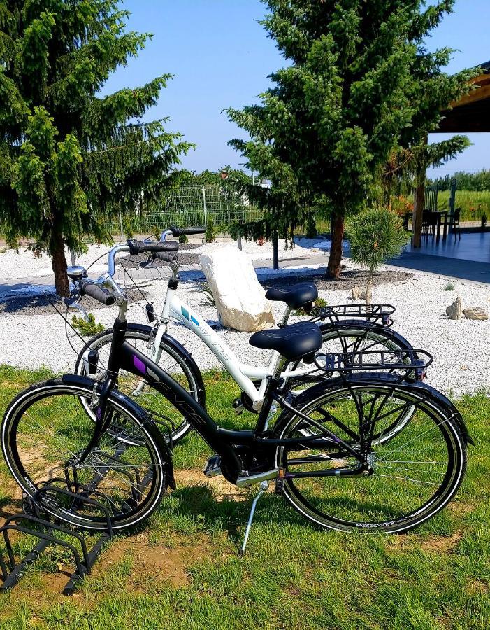 Przystanek Roszkow -Noclegi I Restauracja Kültér fotó